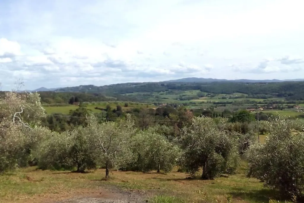 Casa vacanze Casa Belvedere -Tranquillita Tra Bosco E Ulivi- Riparbella