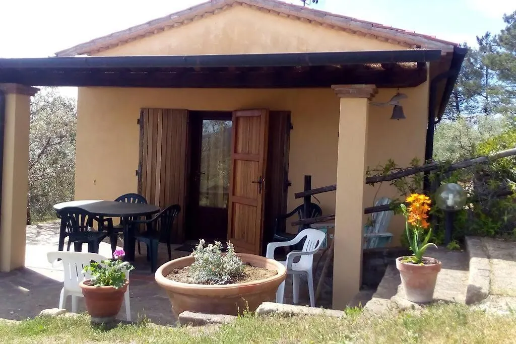 Casa Belvedere -Tranquillita Tra Bosco E Ulivi- Riparbella
