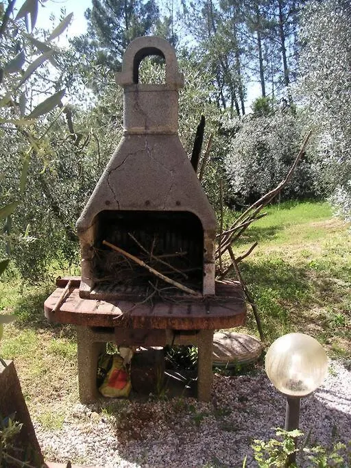 Casa Belvedere -Tranquillita Tra Bosco E Ulivi- Riparbella Italy