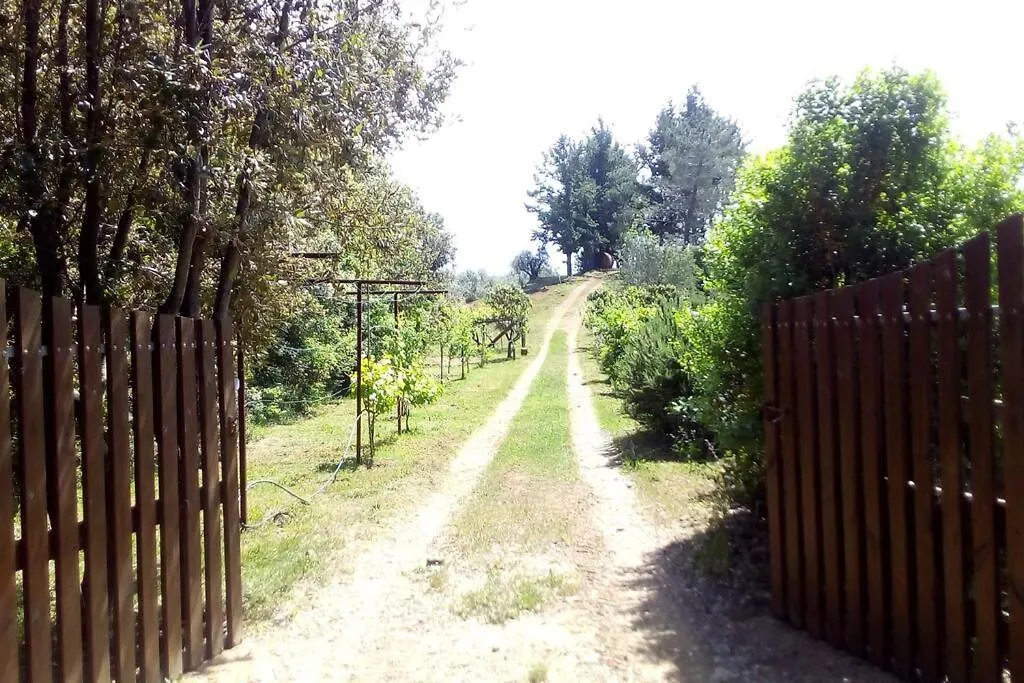 Casa Belvedere -Tranquillita Tra Bosco E Ulivi- Riparbella Casa vacanze
