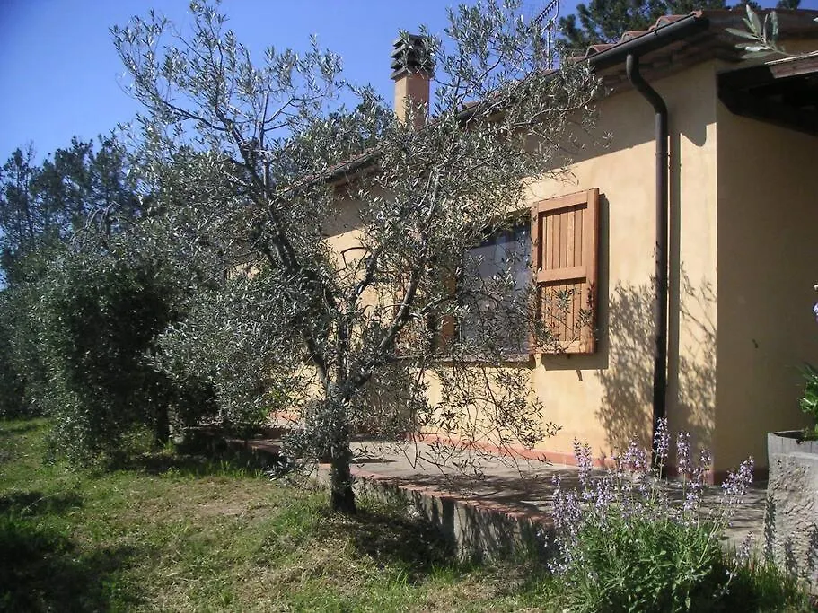Casa vacanze Casa Belvedere -Tranquillita Tra Bosco E Ulivi- Riparbella