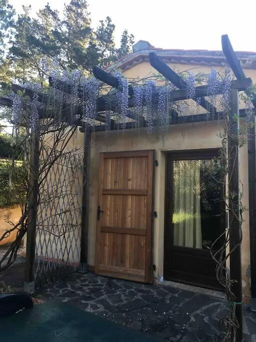 Casa Belvedere -Tranquillita Tra Bosco E Ulivi- Riparbella 0*,  Italy