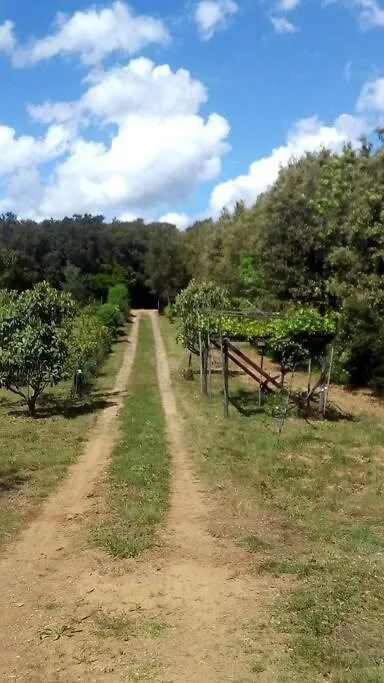 Holiday home Casa Belvedere -Tranquillita Tra Bosco E Ulivi- Riparbella Italy