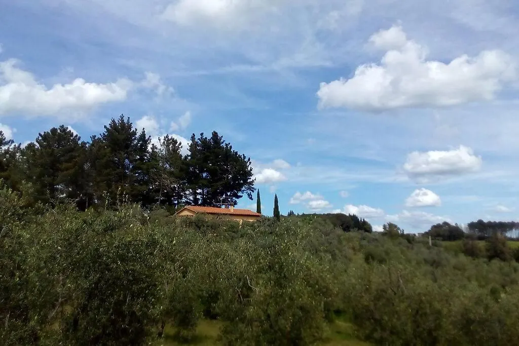 Holiday home Casa Belvedere -Tranquillita Tra Bosco E Ulivi- Riparbella Italy
