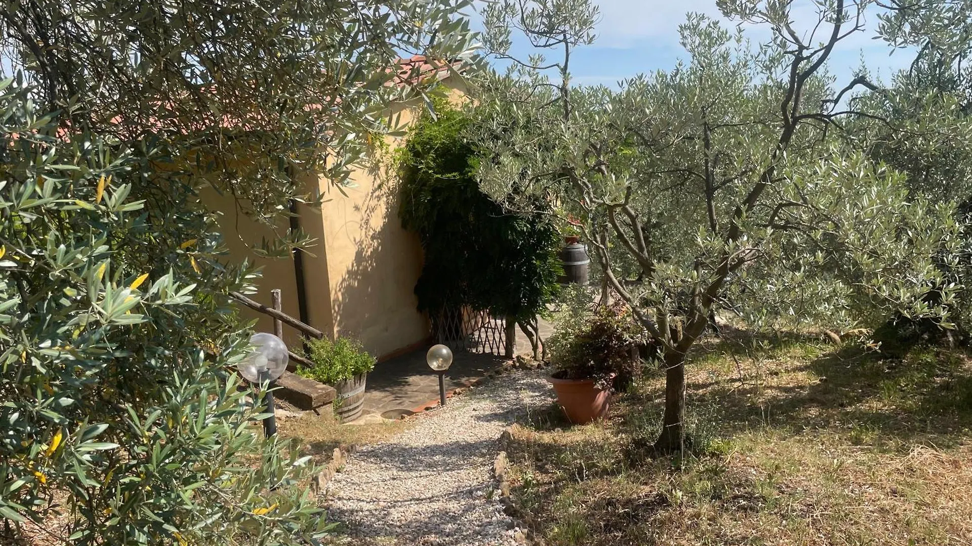Casa vacanze Casa Belvedere -Tranquillita Tra Bosco E Ulivi- Riparbella Italia